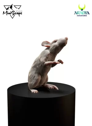 Rat